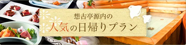 想古亭源内の人気の日帰りプラン